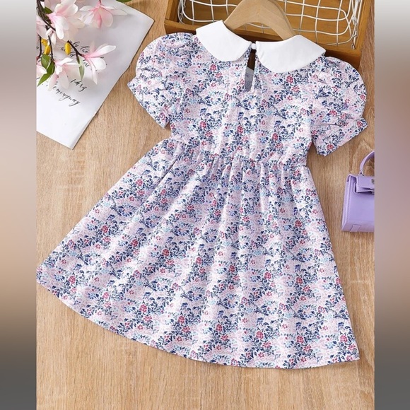 Peter Pan Collar Dress - Picture 3 of 6